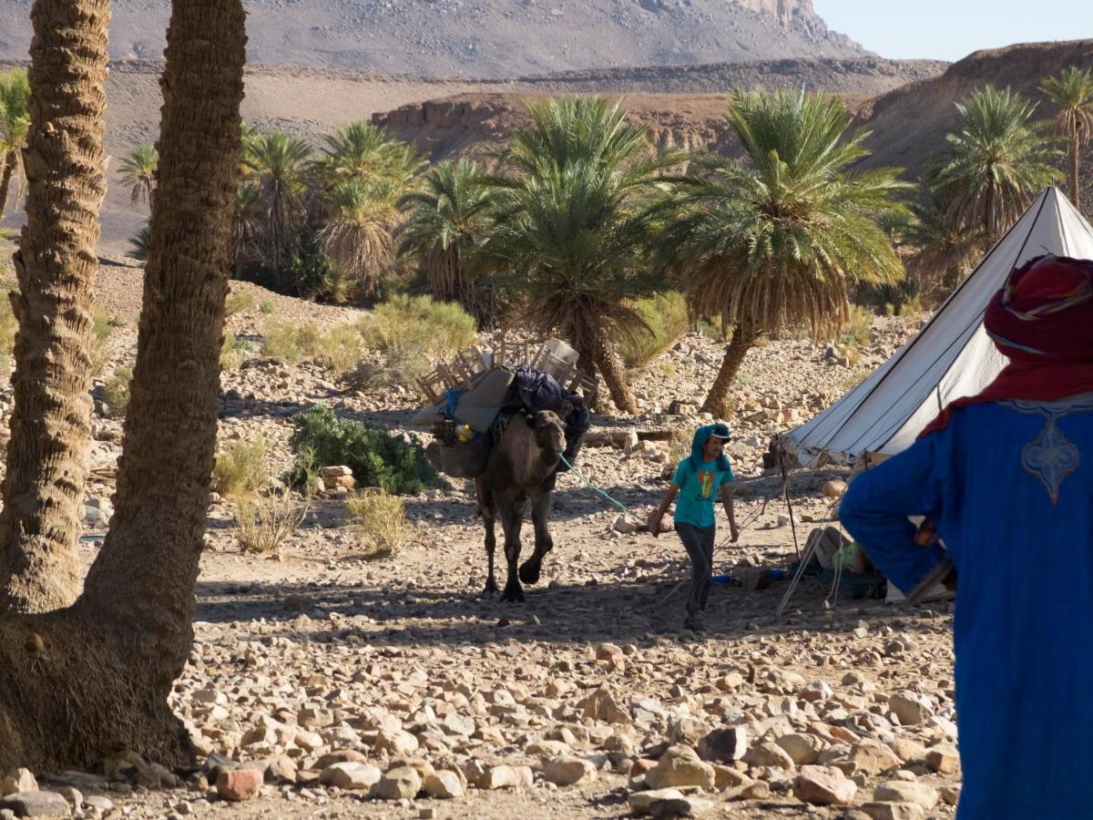 Hotel Bivouac Les Nomades & Foum Zguid To Chegaga Tours Exterior foto