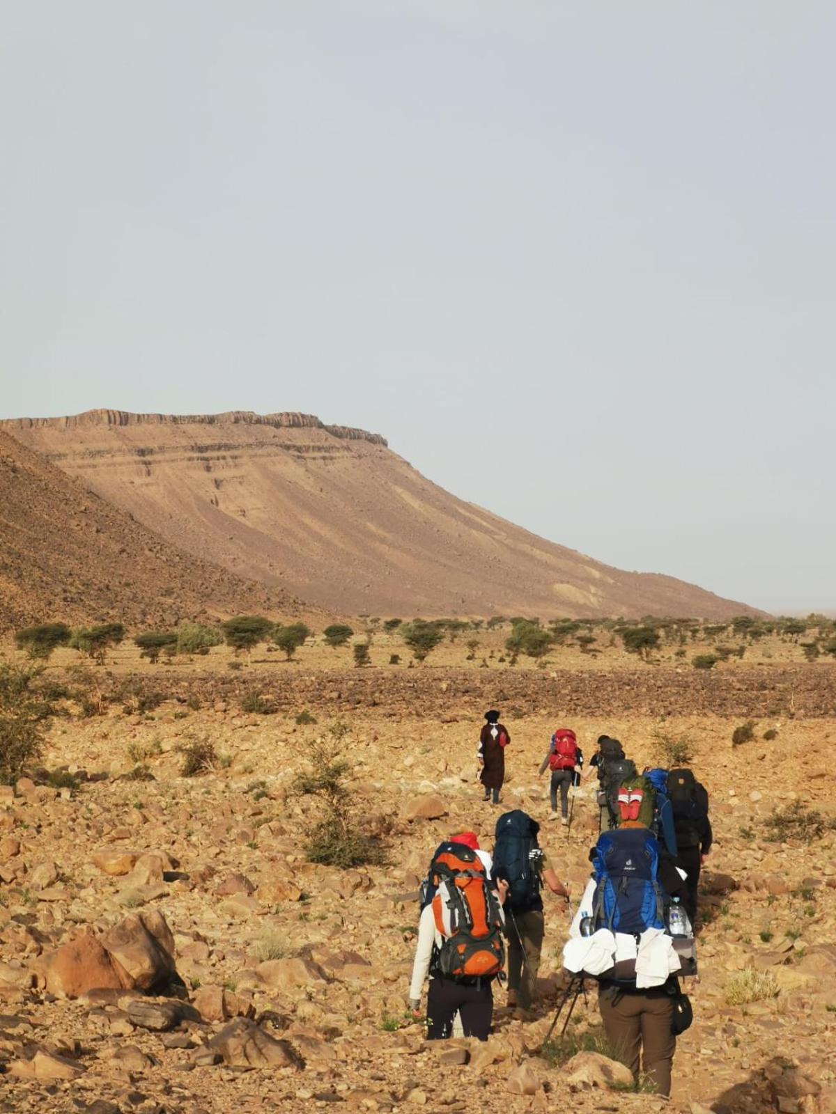 Hotel Bivouac Les Nomades & Foum Zguid To Chegaga Tours Exterior foto